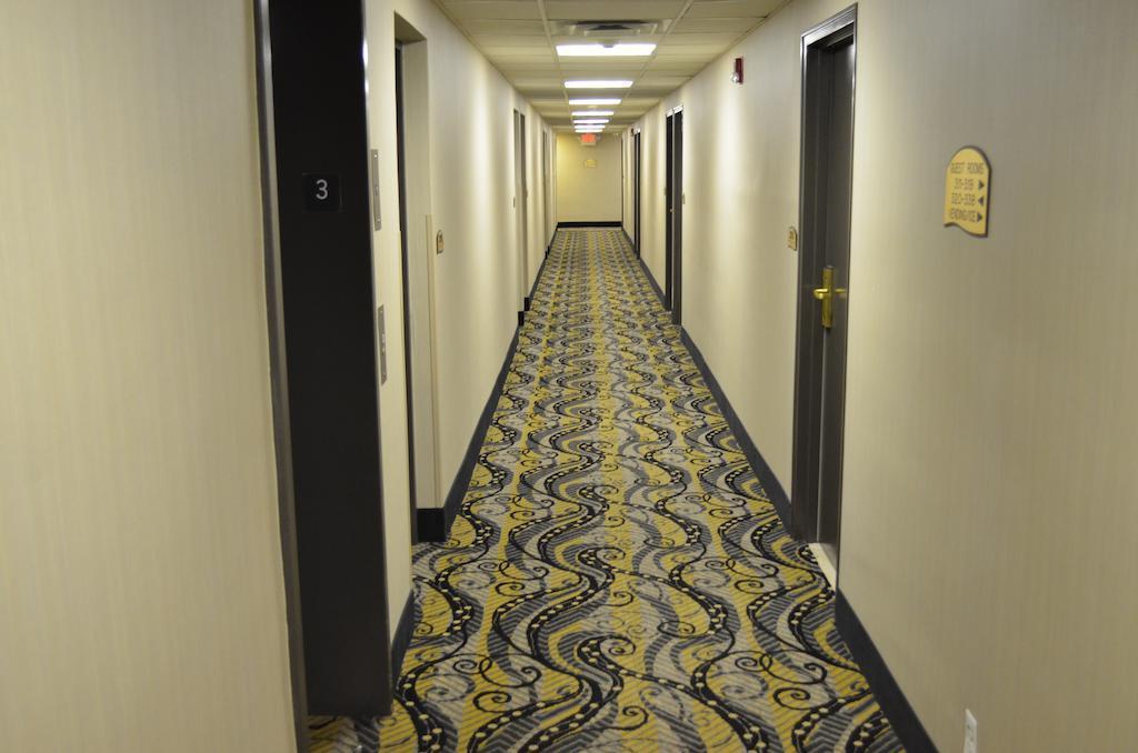 Comfort Inn Downtown Detroit Kültér fotó