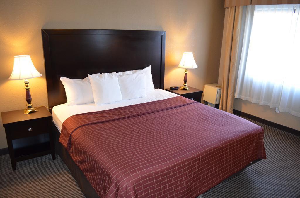 Comfort Inn Downtown Detroit Kültér fotó