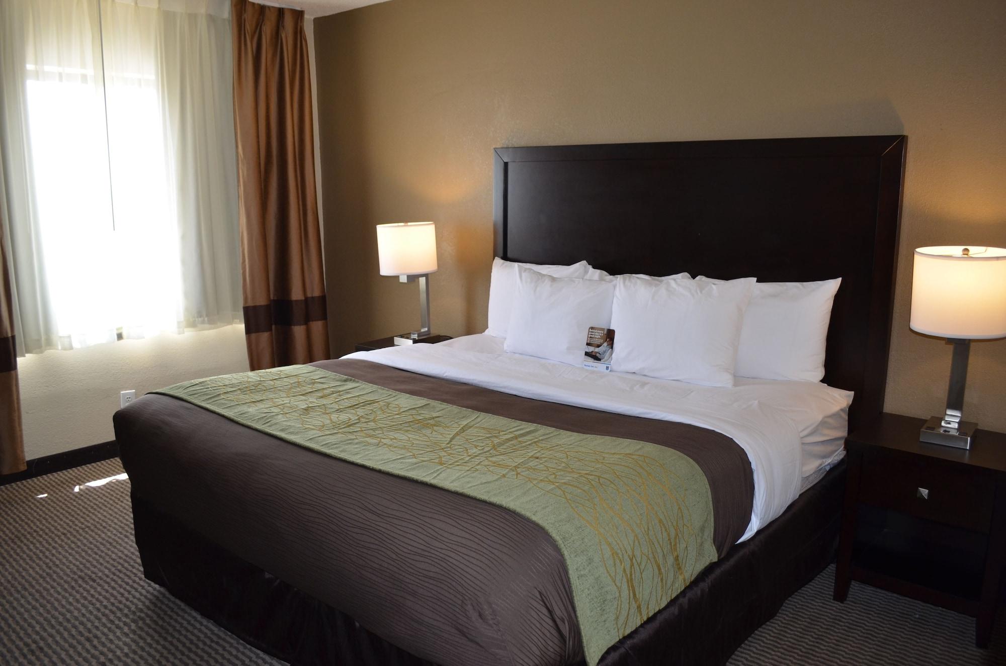 Comfort Inn Downtown Detroit Kültér fotó