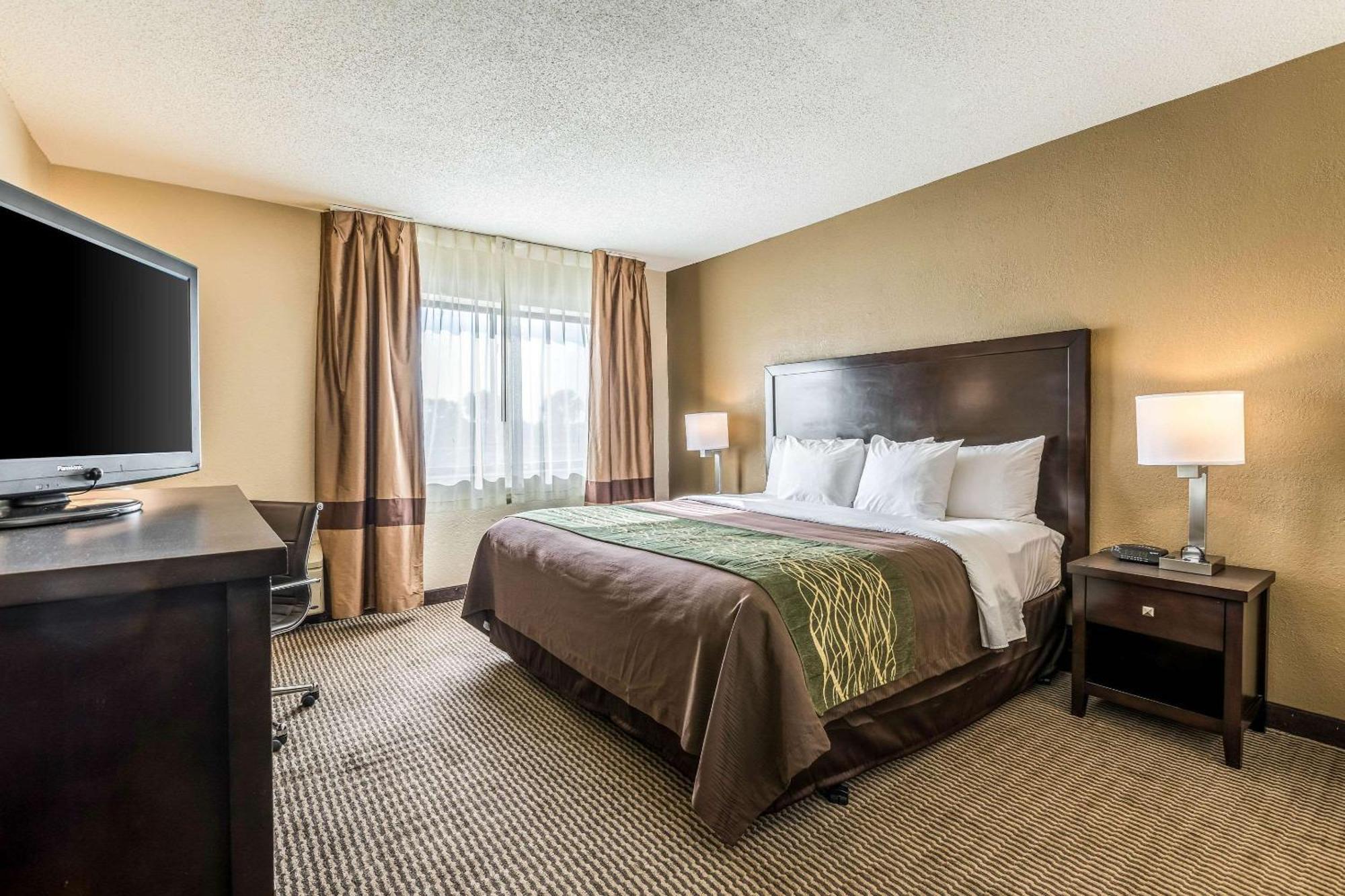 Comfort Inn Downtown Detroit Kültér fotó