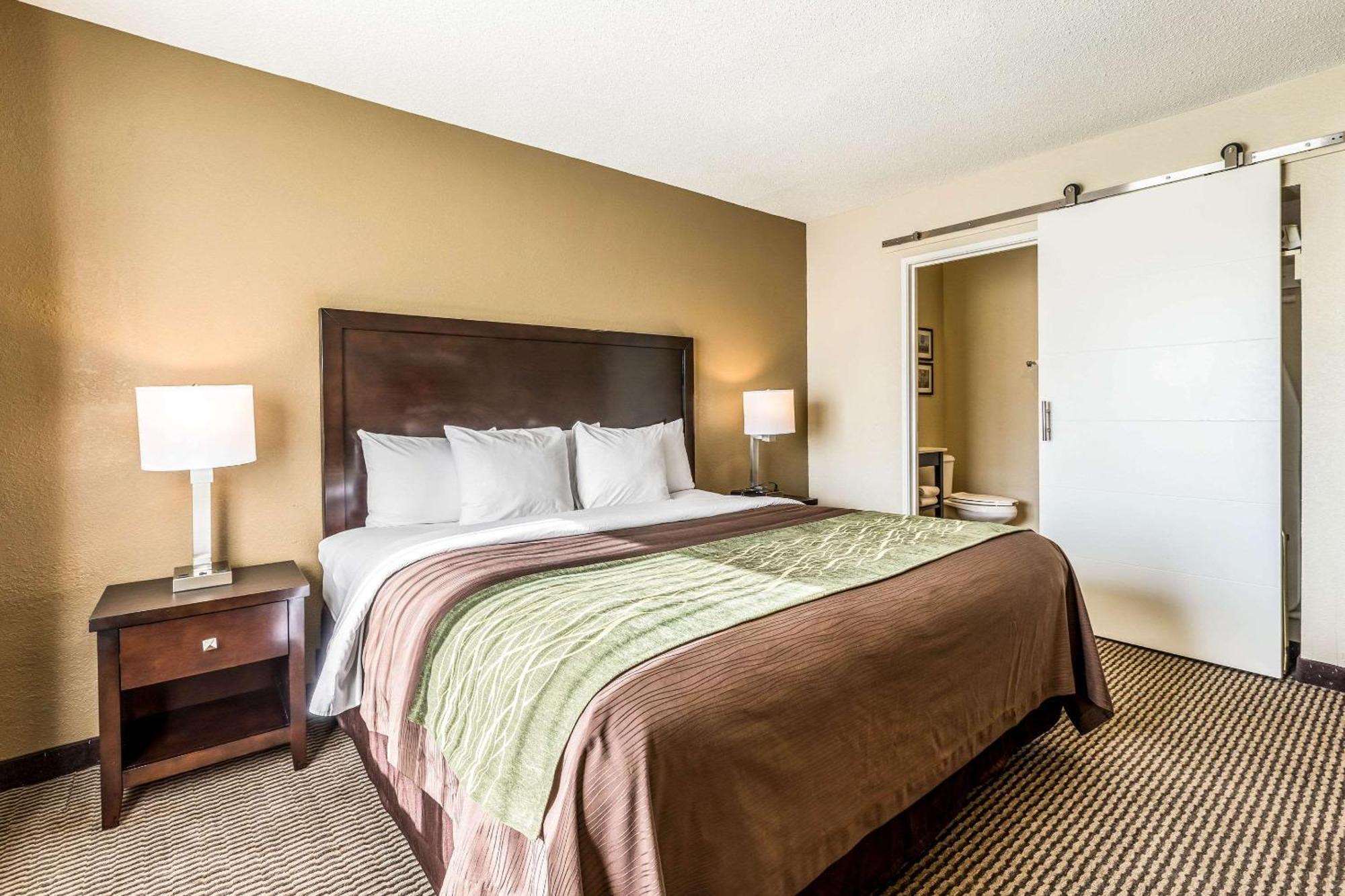Comfort Inn Downtown Detroit Kültér fotó