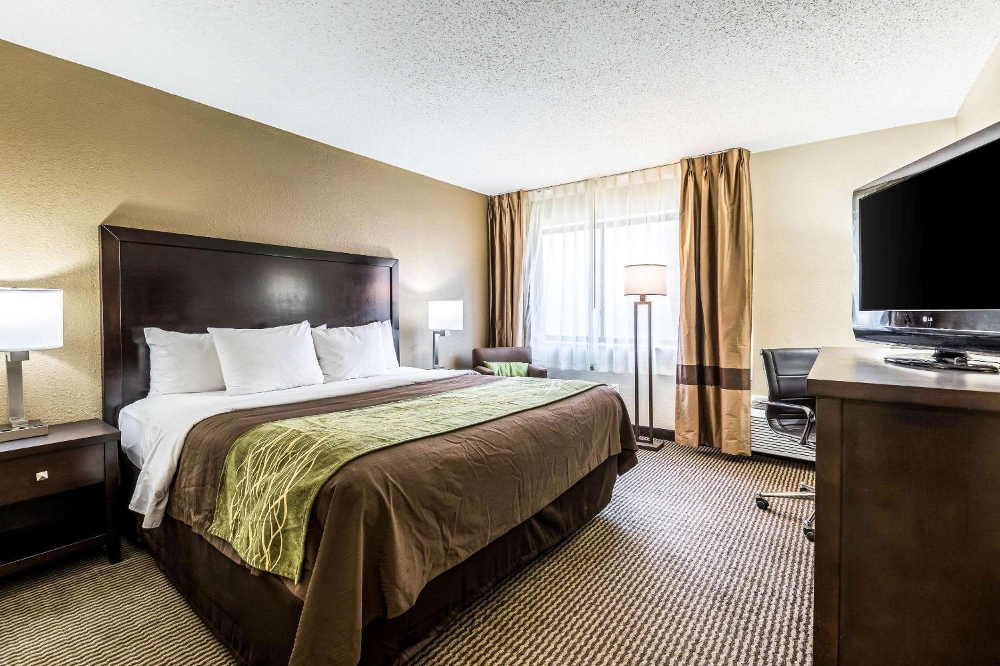 Comfort Inn Downtown Detroit Kültér fotó