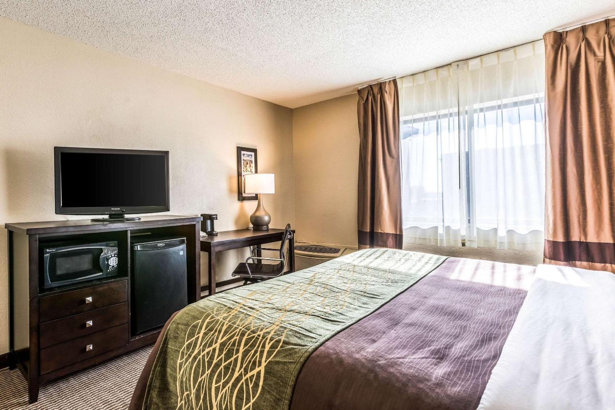 Comfort Inn Downtown Detroit Kültér fotó