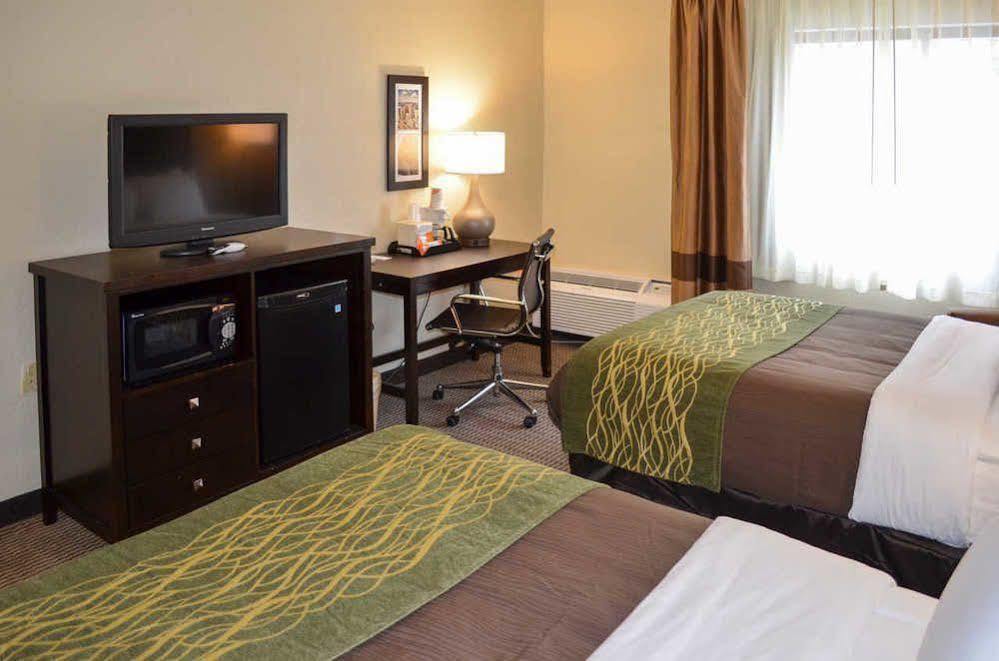 Comfort Inn Downtown Detroit Kültér fotó